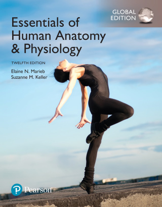 Cover image: Essentials of Human Anatomy and Physiology, Global Edition 12th edition 9781292216119