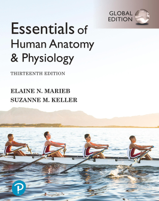 Cover image: Essentials of Human Anatomy & Physiology, Global Edition 13th edition 9781292401904