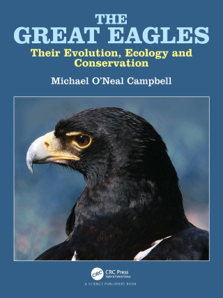 Cover image: The Great Eagles 1st edition 9781138197435
