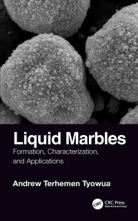 Cover image: Liquid Marbles 1st edition 9781138197305