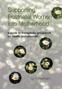 Cover image: Supporting Postnatal Women into Motherhood 1st edition 9781857757330