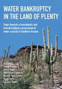 صورة الغلاف: Water Bankruptcy in the Land of Plenty 1st edition 9781138418653