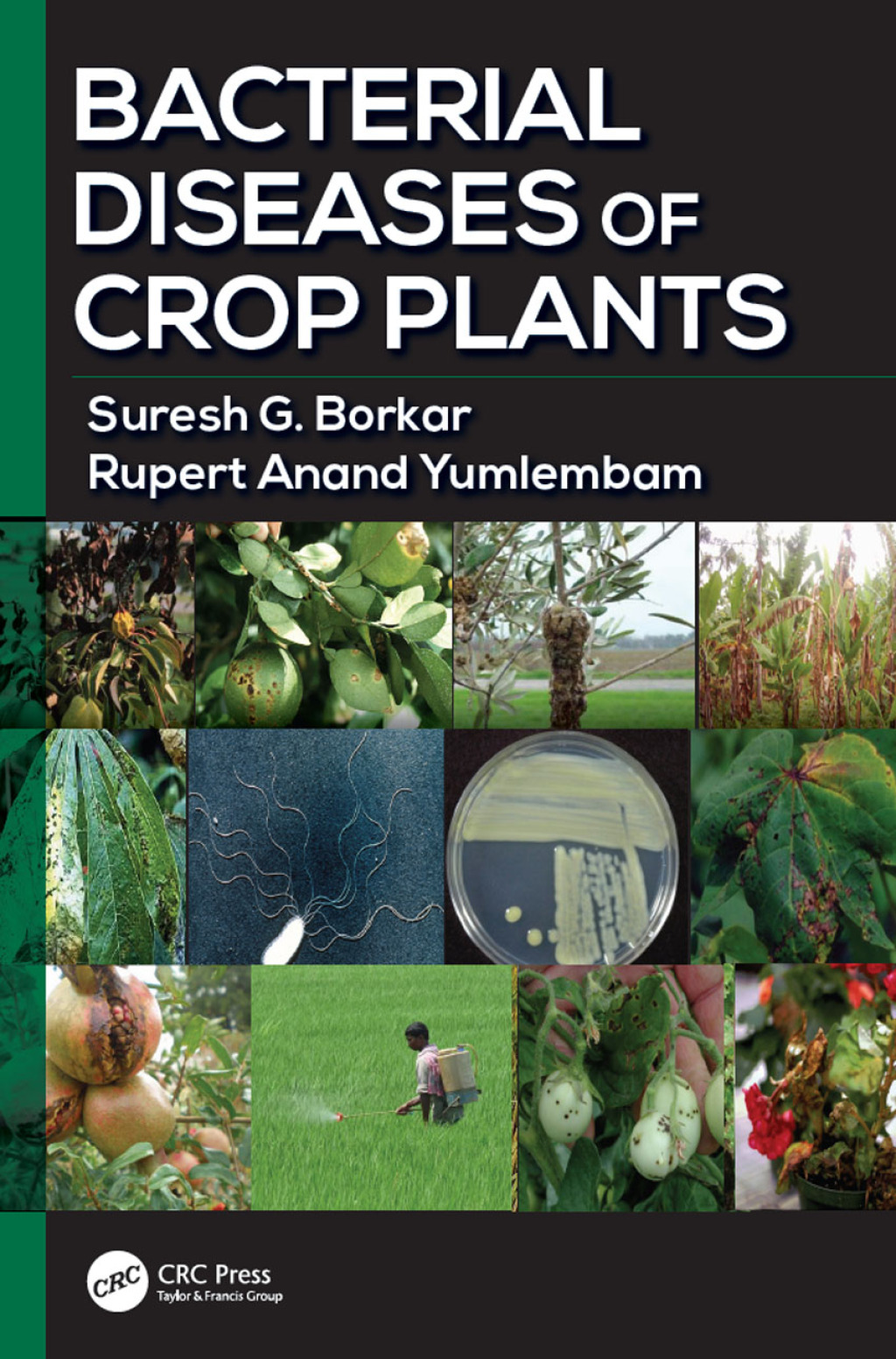 Bacterial Diseases of Crop Plants 1st Edition