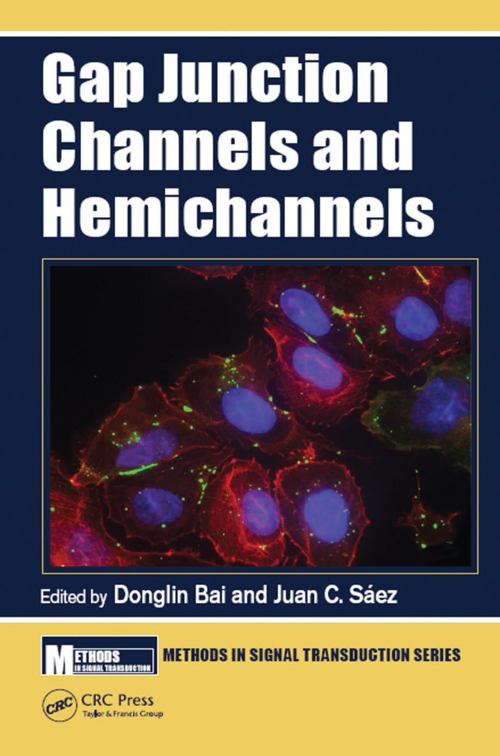 Gap Junction Channels and Hemichannels 1st Edition