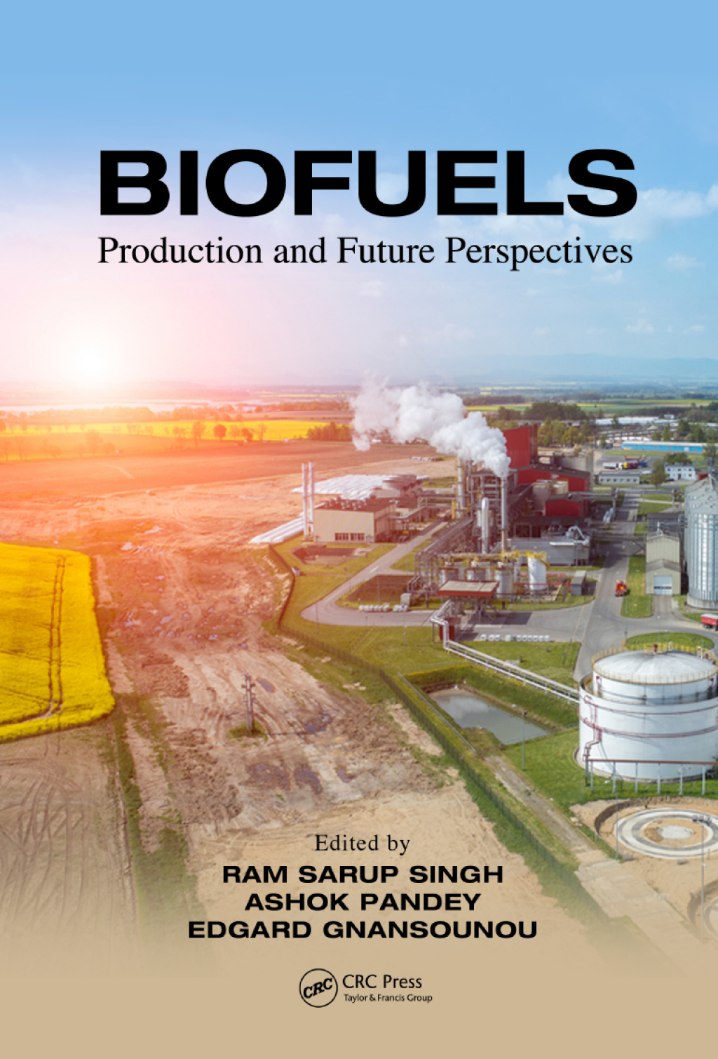 Biofuels Production and Future Perspectives 1st Edition