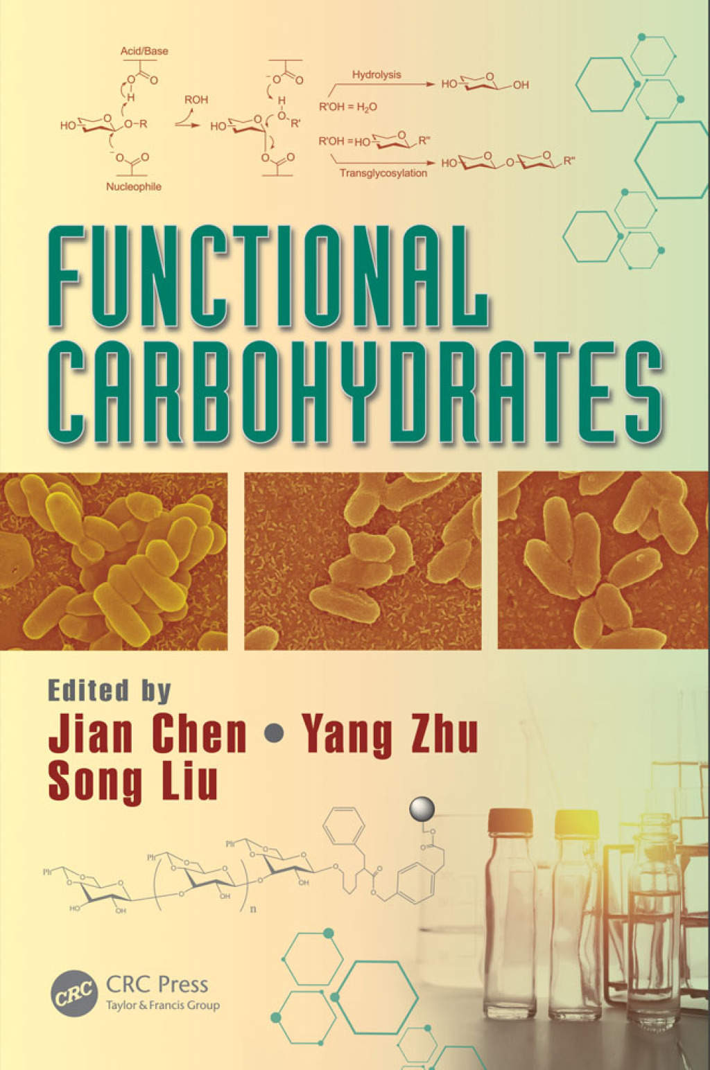 Functional Carbohydrates Development, Characterization, and Biomanufacture 1st Edition