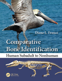 Cover image: Comparative Bone Identification 1st edition 9780367777883