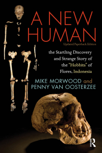 Cover image: A New Human 1st edition 9781138403574