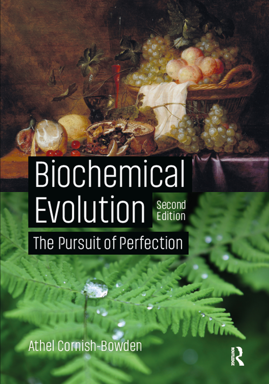 Biochemical Evolution The Pursuit of Perfection 2nd Edition