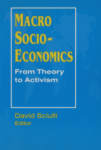 صورة الغلاف: Macro Socio-economics: From Theory to Activism 1st edition 9781563246517