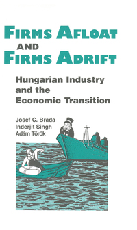Cover image: Firms Afloat and Firms Adrift 1st edition 9781563243202