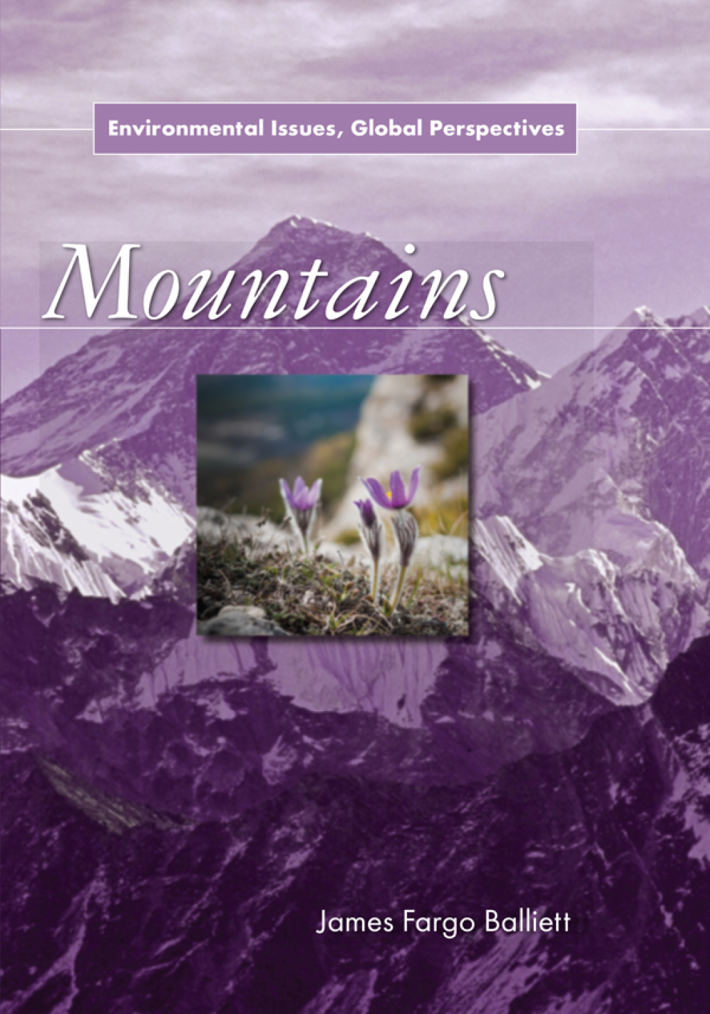 Mountains Environmental Issues, Global Perspectives 1st Edition