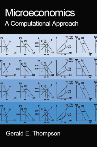 Cover image: Microeconomics: A Computational Approach 1st edition 9780765606648
