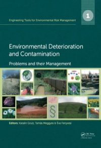 صورة الغلاف: Engineering Tools for Environmental Risk Management 1st edition 9781138001541