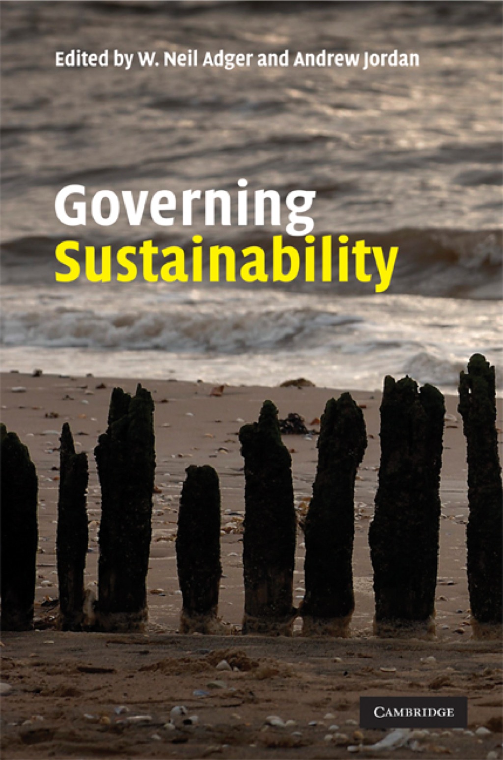 Governing Sustainability 1st Edition