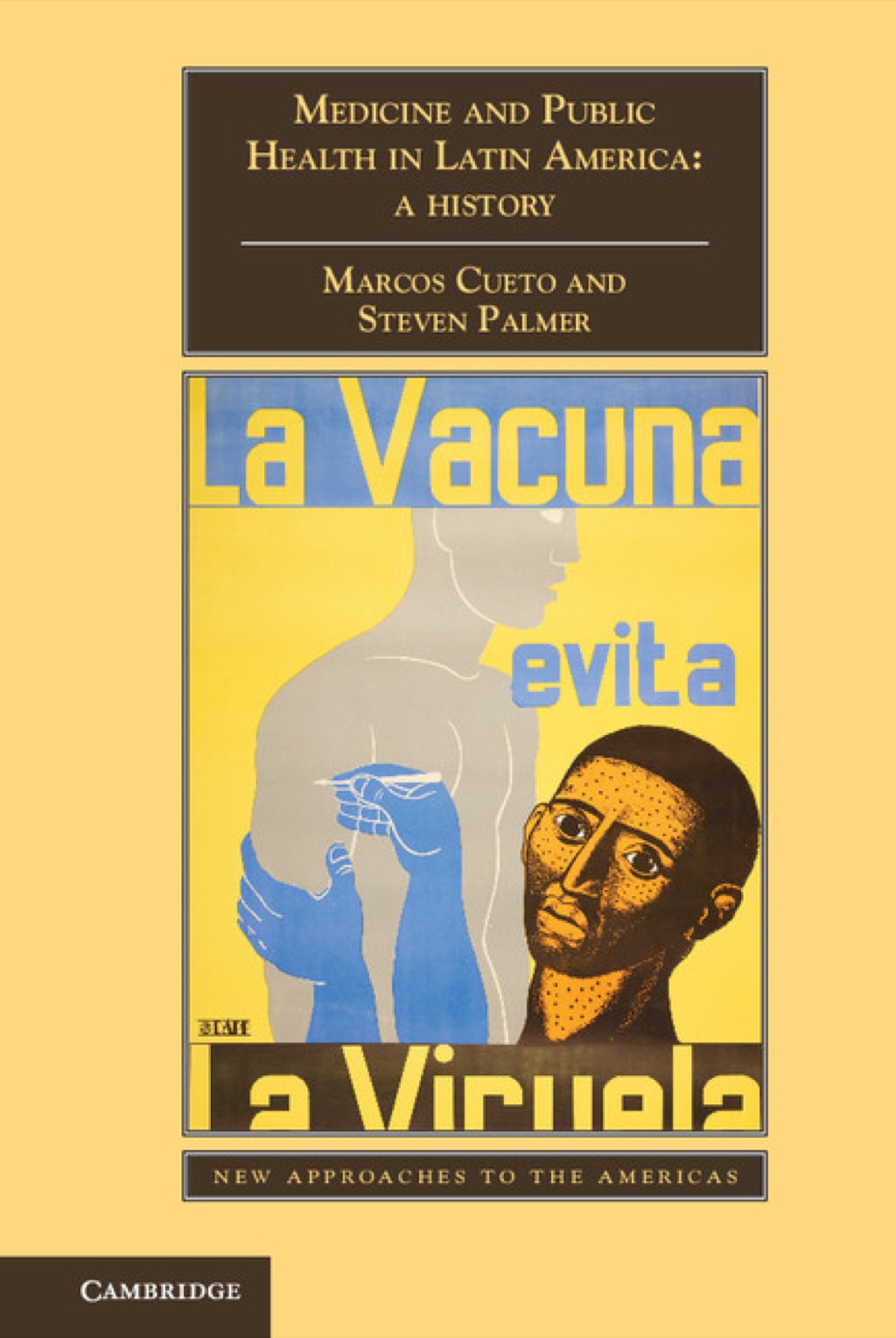 Medicine and Public Health in Latin America A History 1st Edition
