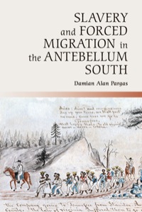 صورة الغلاف: Slavery and Forced Migration in the Antebellum South 1st edition 9781107031210