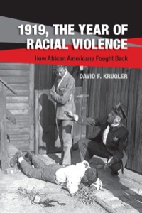 Imagen de portada: 1919, The Year of Racial Violence 1st edition 9781107061798
