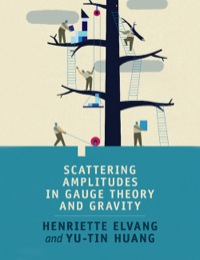 Imagen de portada: Scattering Amplitudes in Gauge Theory and Gravity 1st edition 9781107069251