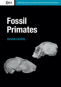 Imagen de portada: Fossil Primates 1st edition 9781107005303