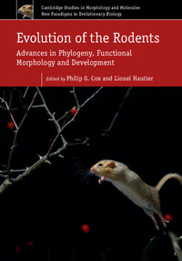 Titelbild: Evolution of the Rodents: Volume 5 1st edition 9781107044333