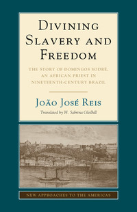 Imagen de portada: Divining Slavery and Freedom 1st edition 9781107079779