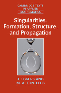 Cover image: Singularities: Formation, Structure, and Propagation 1st edition 9781107098411