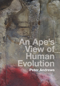 Omslagafbeelding: An Ape's View of Human Evolution 9781107100671