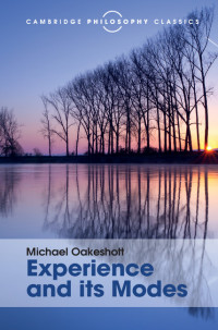 Immagine di copertina: Experience and its Modes 9781107113589
