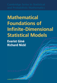 Titelbild: Mathematical Foundations of Infinite-Dimensional Statistical Models 9781107043169