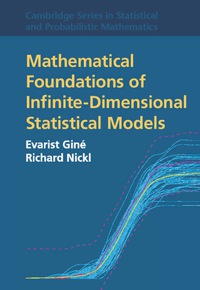 表紙画像: Mathematical Foundations of Infinite-Dimensional Statistical Models 9781107043169