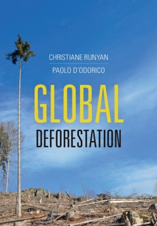 Imagen de portada: Global Deforestation 9781107135260