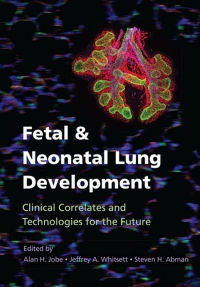 Immagine di copertina: Fetal and Neonatal Lung Development 9781107072091