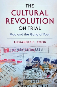 Immagine di copertina: The Cultural Revolution on Trial 9780521761116