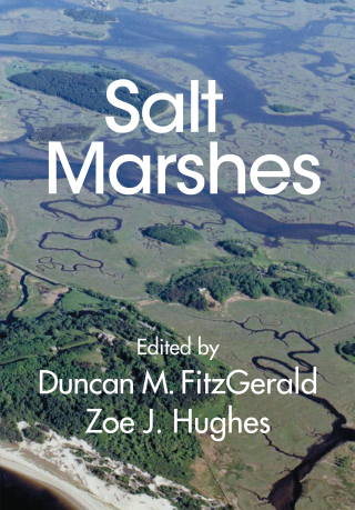 Titelbild: Salt Marshes 9781107186286