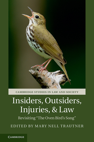 表紙画像: Insiders, Outsiders, Injuries, and Law 9781107188402
