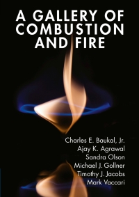 صورة الغلاف: A Gallery of Combustion and Fire 9781107154971