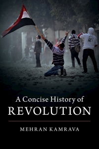 Immagine di copertina: A Concise History of Revolution 9781108485951