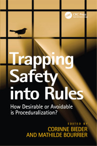 صورة الغلاف: Trapping Safety into Rules 1st edition 9781409452263