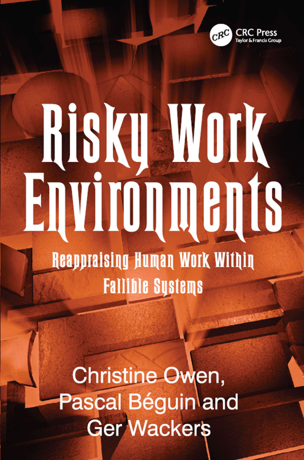 Risky Work Environments Reappraising Human Work Within Fallible Systems 1st Edition