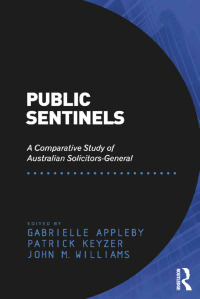Imagen de portada: Public Sentinels 1st edition 9781409454250