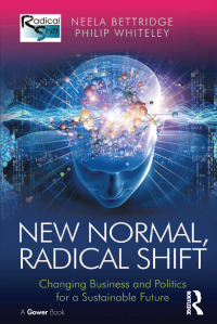 صورة الغلاف: New Normal, Radical Shift 1st edition 9781409455745