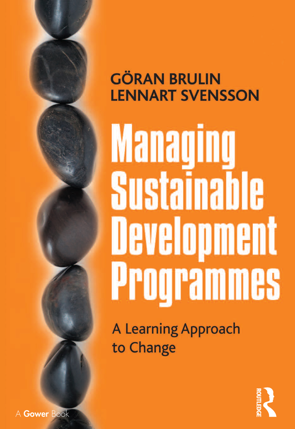 Managing Sustainable Development Programmes A Learning Approach to Change 1st Edition