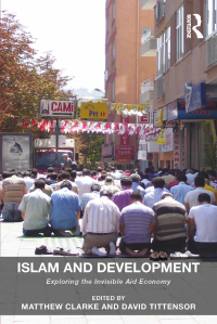 صورة الغلاف: Islam and Development 1st edition 9781409470809
