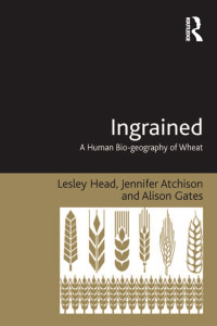 Cover image: Ingrained 1st edition 9781138261662