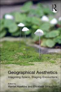 Cover image: Geographical Aesthetics 1st edition 9781409448013