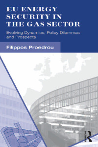 Imagen de portada: EU Energy Security in the Gas Sector 1st edition 9781409438045