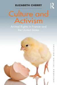 Cover image: Culture and Activism 1st edition 9781138595477