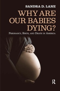 صورة الغلاف: Why Are Our Babies Dying? 1st edition 9781594514401