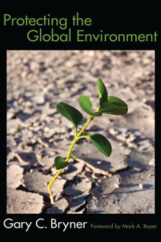 Cover image: Protecting the Global Environment 1st edition 9781594516740